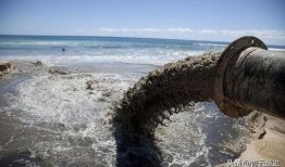 核污水最新爆料,揭秘污染源与潜在影响”