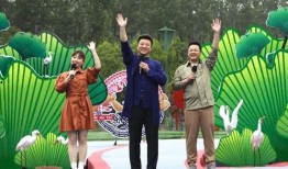 吴京媳妇爆料视频大全最新,揭秘吴京家庭生活幕后故事