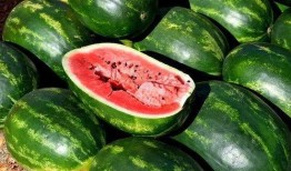 网红徒弟吃瓜图片