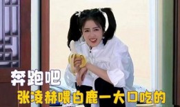 爱豆吃瓜娱乐白鹿